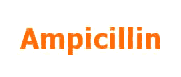 Ampicillin