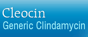 Cleocin (Generic)